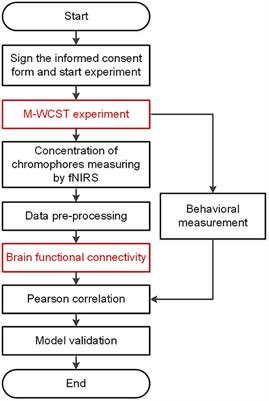 Functional Brain Network Analysis of Knowledge Transfer While Engineering Problem-Solving